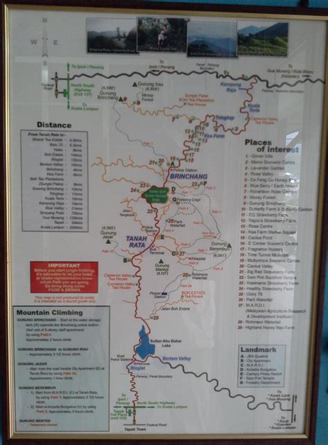 CAMERON SERVICE / MOUNTAIN TOUR & TRAVEL SDN. BHD.: 31 - Map of Cameron ...