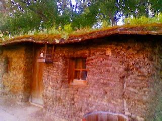 "RAMBLIN ROSE" The Sod House Museum-I-80 (Exit 211)