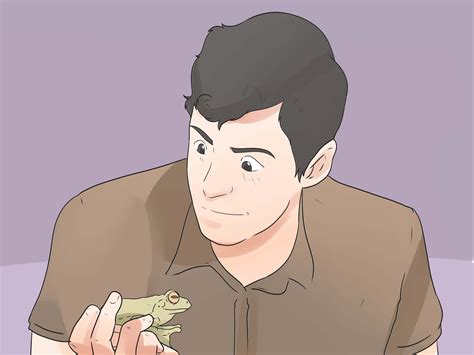 How to Take Care of Frogs: 15 Steps (with Pictures) - wikiHow