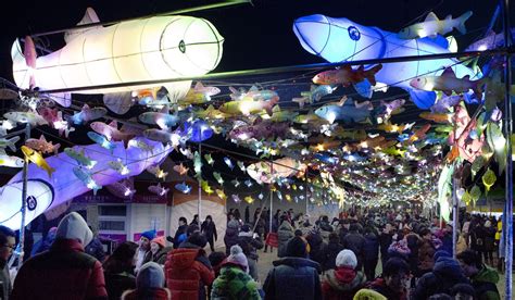 Three best winter festivals in South Korea for a family getaway | South China Morning Post