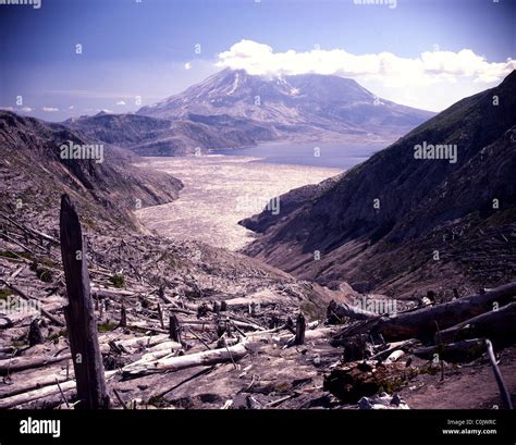 Spirit Lake with Mt. St. Helens after Eruption of 5-18-1980 Stock Photo - Alamy