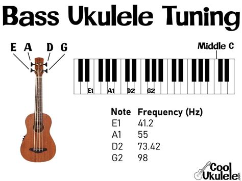 Bass Ukulele Tuning - Standard Notes (EADG) EPIC Guide | CoolUkulele.com