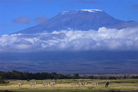 Kilimanjaro - Safari Tanzania