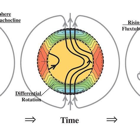 Sunspot Butterfly Diagram showing the distribution of sunspots as a... | Download Scientific Diagram