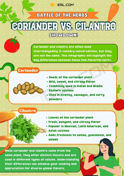 Coriander vs. Cilantro: The Difference Between Coriander and Cilantro ...