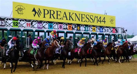 Preakness Stakes 2025 Entries - Jasmine Parsons