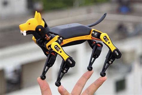 Petoi Bittle Mini Robot Dog Powered by Arduino | Gadgetsin