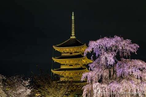 To-ji Temple, Kyoto- By Day and By Night | Travel? Yes Please!