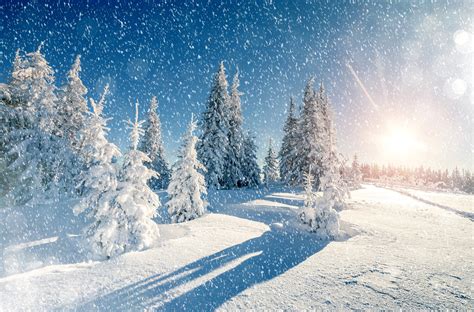 Winter Trees Snow Season Wallpaper, HD Nature 4K Wallpapers, Images and ...