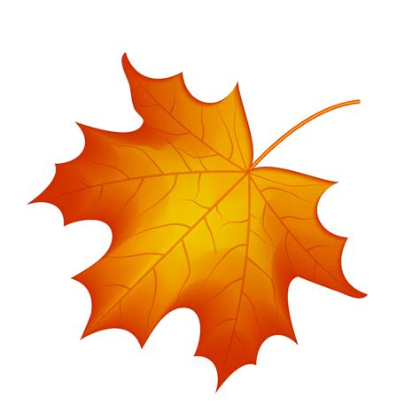 autumn maple leaf vector on a white background 2263878 Vector Art at Vecteezy