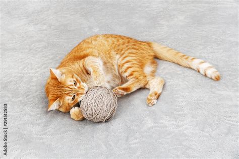 Orange cat playing with a ball of yarn lying on the bed. Shallow focus ...