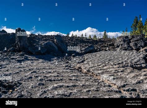 Lava flow with pahoehoe texture with young aa lava from the 1909 eruption of Chinyero Volcano in ...