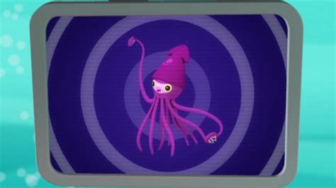 Colossal Squid Creature Report - CBeebies - BBC