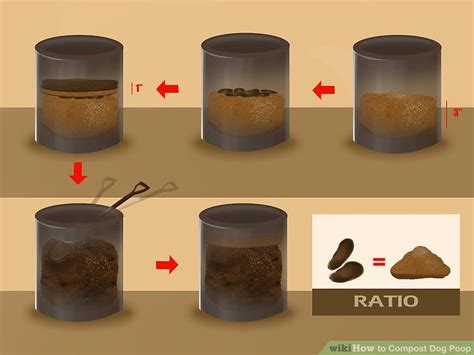 How to Compost Dog Poop: 7 Steps (with Pictures) - wikiHow