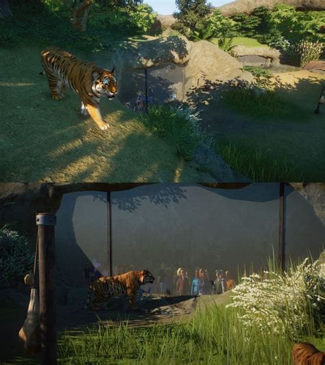 Planet Zoo Bengal Tiger Habitat | summarycatbest