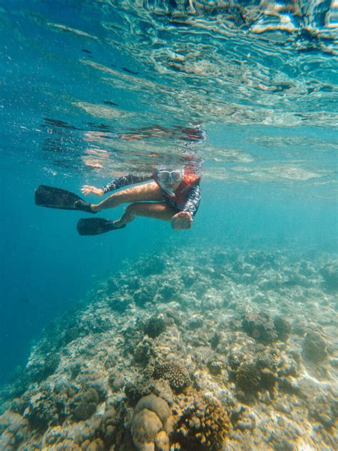 13 BEST Playa del Carmen Snorkeling Tours