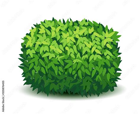 Vector garden bush isolated shrub hedge. Green bush cartoon grass shrubbery plant. Stock Vector ...