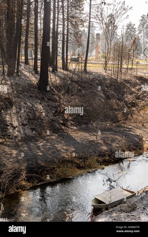 Fire damage from Oregon wildfire Stock Photo - Alamy