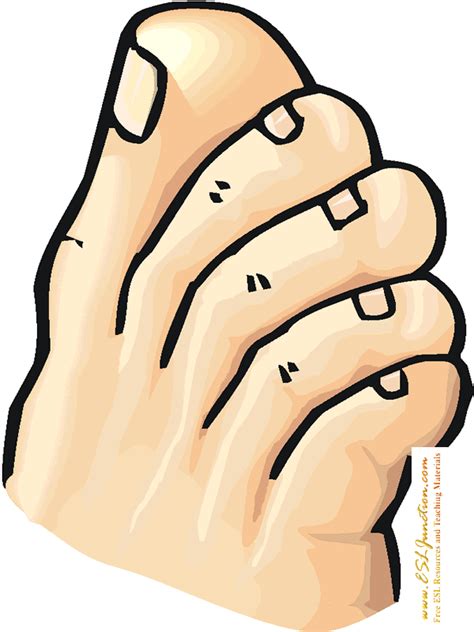 Free Toe Cliparts, Download Free Toe Cliparts png images, Free ClipArts on Clipart Library