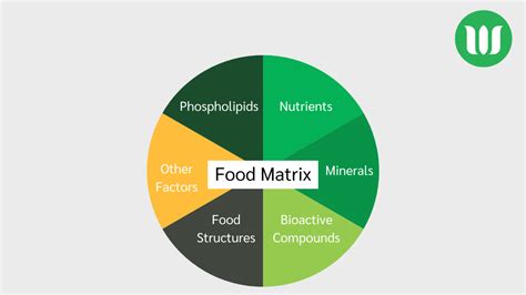 The Power of Synergy and Bioavailability in the Whole Food Matrix