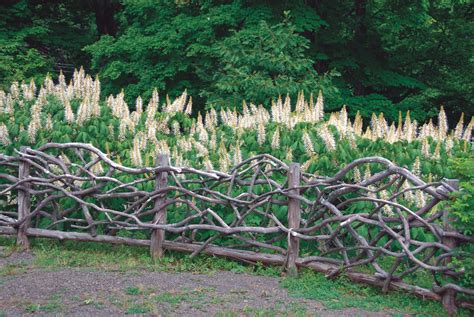 Rustic fence | Rustic garden fence, Diy garden fence, Rustic fence