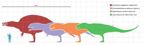 Spinosaurus vs Tyrannosaurus - Difference and Comparison | Diffen