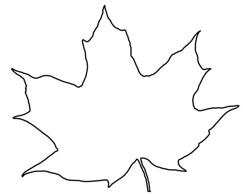 Leaf Outline Free Stock Photo - Public Domain Pictures