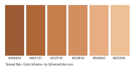 Tanned Skin Color Scheme » Brown » SchemeColor.com