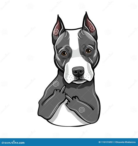 Staffordshire Terrier Dog. Middle Finger Gesture. American Staffordshire Terrier Portrait ...