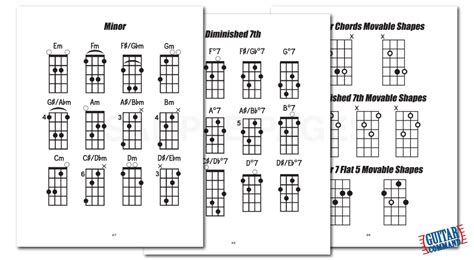 Bass Guitar Scales, Chords & Arpeggios PDF Download Book