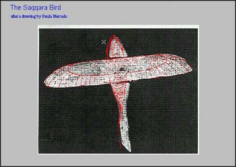 Flying the Saqqara Bird | Bird, Model maker, Egypt