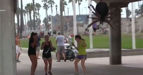 Giant spider prank video showing hysterical reactions of 'victims' goes viral - World News ...