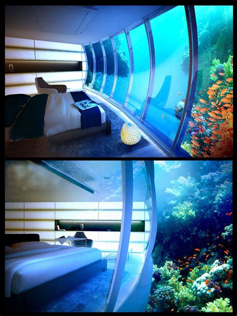 Dream Aquarium ( High res version) : r/Aquariums