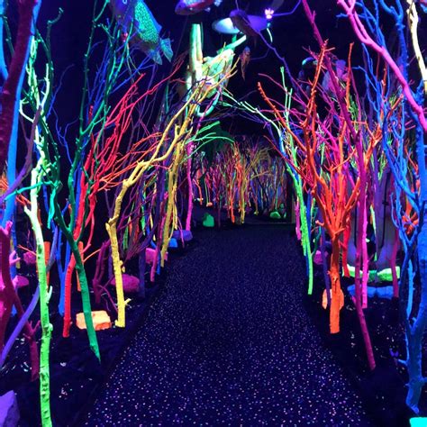 Interactive Installation, Installation Art, Santa Fe Cathedral, Meow Wolf Santa Fe, Santa Fe ...