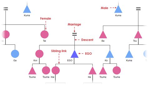 [DIAGRAM] Drawing A Kinship Diagram - MYDIAGRAM.ONLINE