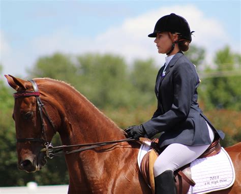 Equestrian Apparel And High-End Horse Riding Gear | Solea Equestrian