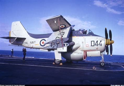 Photos: Fairey Gannet AEW3 Aircraft Pictures | Hms ark royal, Uk navy ...