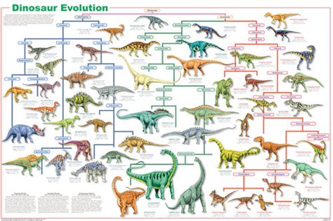 Dinosaur Evolution Poster - Dan's Dinosaurs