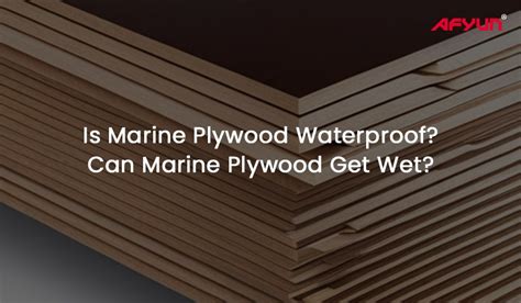 Is Marine Plywood Waterproof? Can Marine Plywood Get Wet?