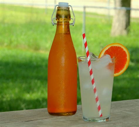 Orange Soda ~ Ginger Bug - Happy Belly Foodie