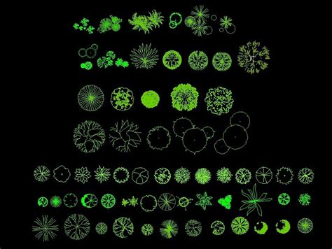 Various Trees And Palm Trees Plants Top View Plan 2D DWG Block For AutoCAD • Designs CAD