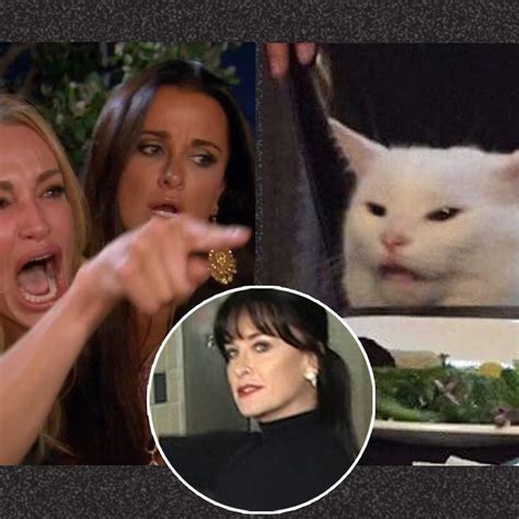 Funny Memes Best Woman Yelling At Cat Meme - These are the 28 best woman yelling at cat memes ever.