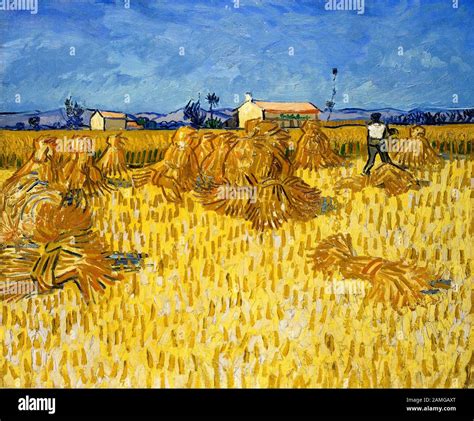 Vincent Van Gogh, Corn Harvest in Provence, landscape painting, 1888 Stock Photo - Alamy