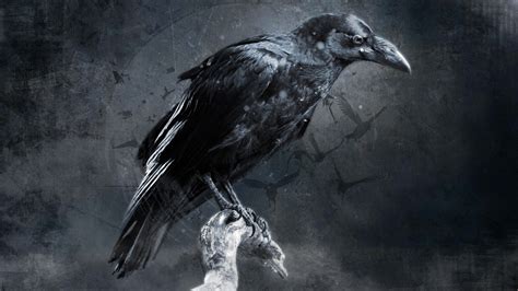 Desktop Wallpaper Raven, Crow, Bird, Art, Hd Image, Picture, Background, Uxdh 9