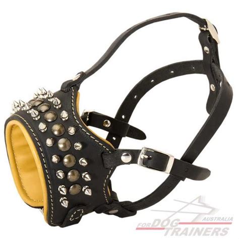 Buy Now Padded Leather Dog Muzzle | Spiked Studded Designer Muzzles