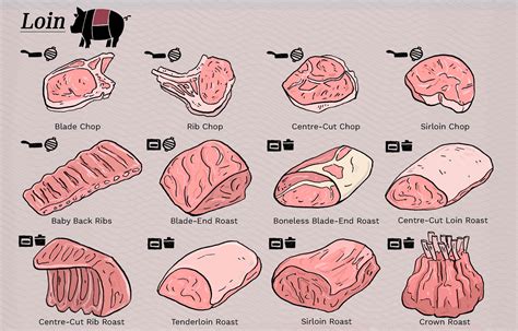 Pork Cuts Explained: Ultimate Guide To Different Cuts of Pork