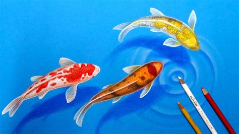 Koi Fish Pond Drawing at GetDrawings | Free download