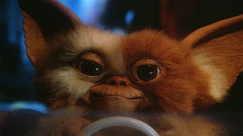 Gremlins Wallpapers - WallpaperSafari