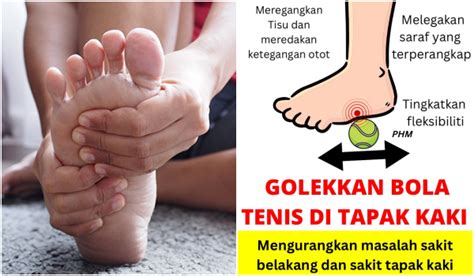 Guna Bola Tenis Rupanya Boleh Legakan Sakit Belakang & Tapak Kaki, Baru ...