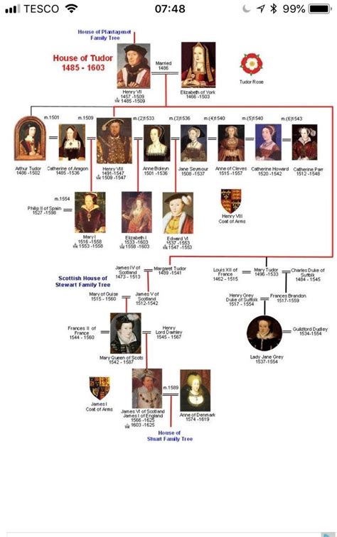 Tudor timeline | Royal family trees, Family tree, Family tree house